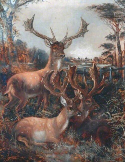 Three Stags, , Robert Cleminson