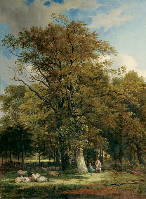 Queen's College Grove, Cambridge, 1860, Samuel David Colkett