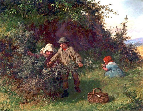 Bird Nesting, , William Bromley