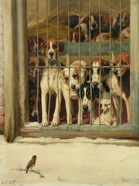Hounds in a Kennel, 1898, William Henry Hamilton Trood