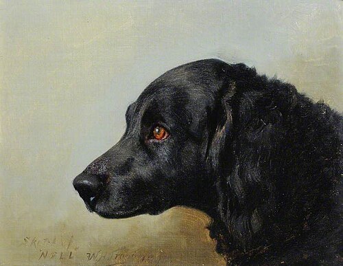 Sketch of 'Nell', 1891, William Henry Hamilton Trood