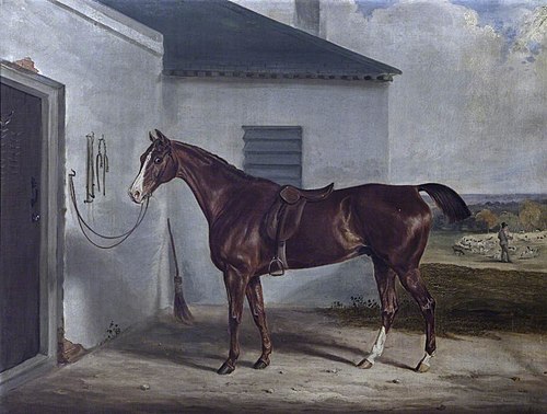 A Chestnut Hunter saddled outside a Stable, 1822, William Webb