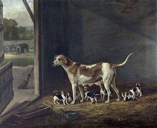 A Foxhound Bitch with her Litter in a Kennel, 1823, William Webb
