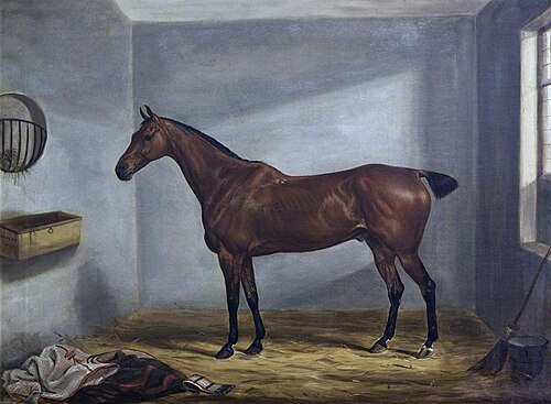 A Bay Hunter in a Loose Box, 1823, William Webb