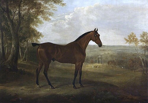 A Bay Hunter in Shugborough Park, 1828, William Webb