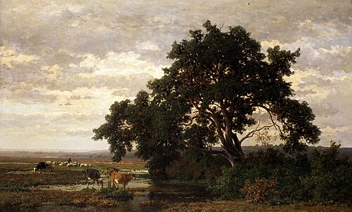 Paysage de tourbière, , Frans Keelhoff