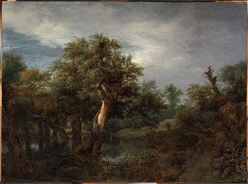 Wooded Landscape with an Old Oak, 1651, Jacob van Ruisdael