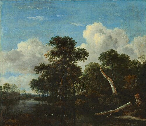 Forest thicket, 1662, Jacob van Ruisdael
