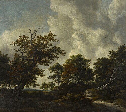 Bosky landscape with a large oak and two fallen beeches by a waterfall, , Jacob van Ruisdael