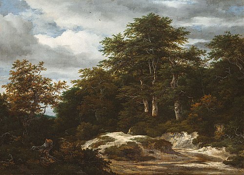 Wooded Landscape with Stream, , Jacob van Ruisdael