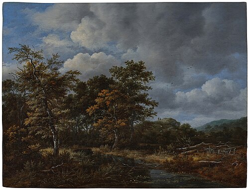 A wooded landscape with a quiet stream and a group of trees at left, 1653, Jacob van Ruisdael