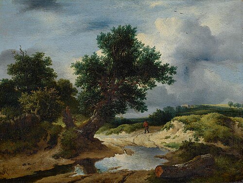 Dünen mit Eichen und Gewässer, 1650, Jacob van Ruisdael