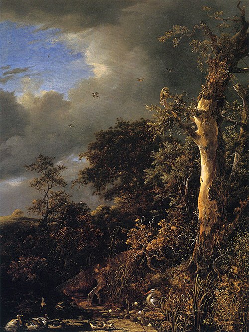 Blasted Oak near a Pond, 1647, Jacob van Ruisdael