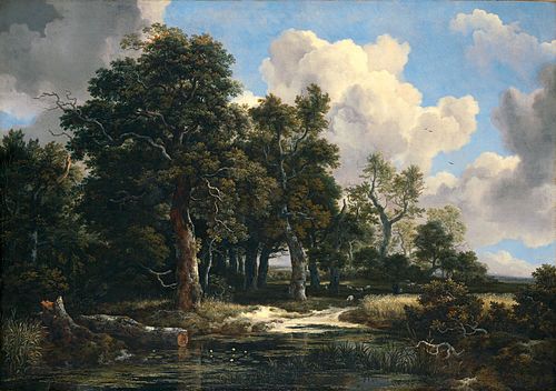 Edge of a Forest with a Grainfield, 1655, Jacob van Ruisdael