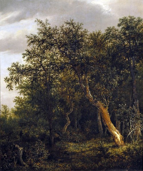 L'entrée d'un bois, 1646, Jacob van Ruisdael