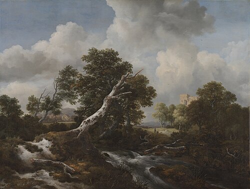 Low Waterfall in a Wooded Landscape with a Dead Beech Tree, 1660, Jacob van Ruisdael