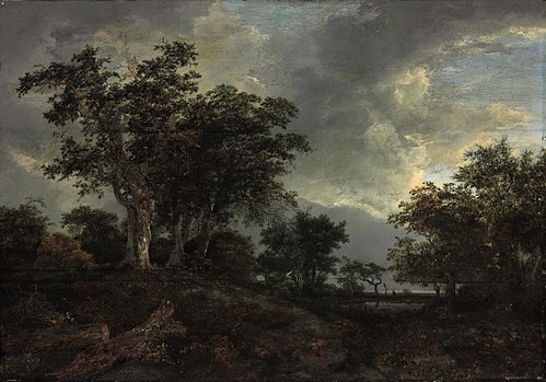 Wooded Landscape with a Pond, 1650, Jacob van Ruisdael