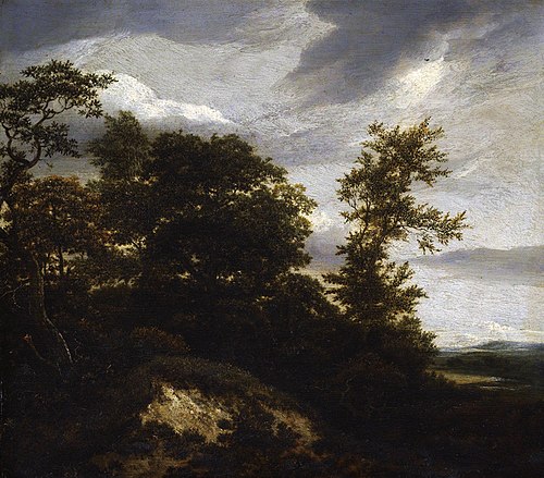 Wooded Dune Landscape, 1648, Jacob van Ruisdael