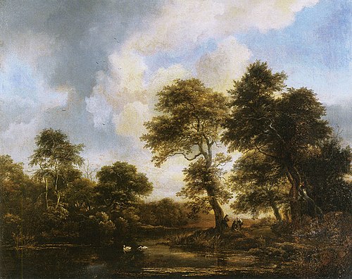 Wooded landscape with swans in a pond, 1660, Jacob van Ruisdael