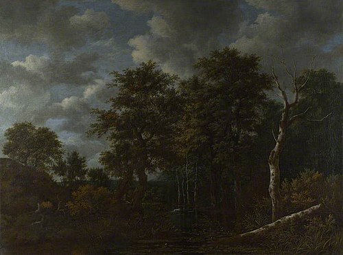 A Pool surrounded by Trees, 1665, Jacob van Ruisdael