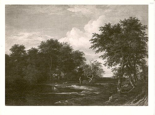 Forest landscape with pond, 1658, Jacob van Ruisdael