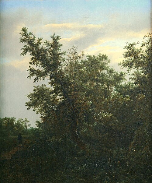 View of a Forest, 1646, Jacob van Ruisdael