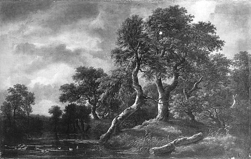 Wooded Landscape with Marsh, 1660, Jacob van Ruisdael