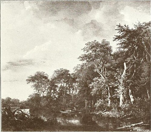 A Wood near the Waters Edge, 1650, Jacob van Ruisdael