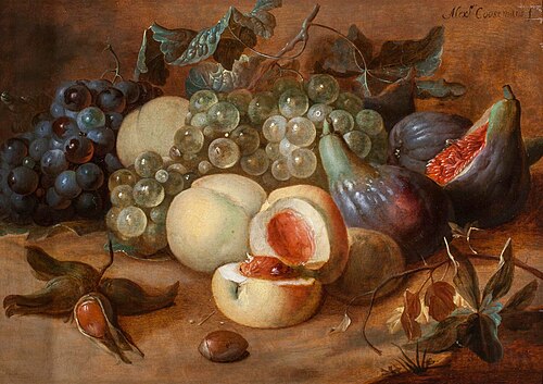 Still Life of Grapes, Figs, Peaches and Hazelnuts, 1650, Alexander Coosemans