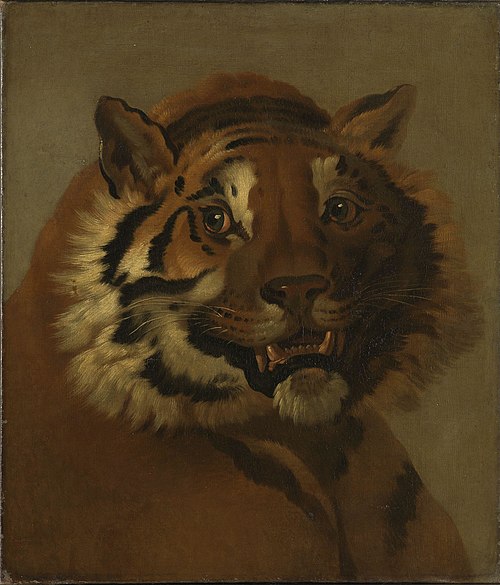 Head of a Tiger, 1790, Johann Heinrich Wilhelm Tischb