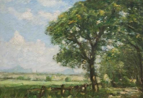 Edinburgh, , David Muirhead