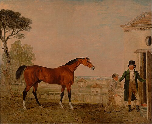 'Sultan' at the Marquess of Exeter's Stud, Burghley House, 1826, Lambert Marshall