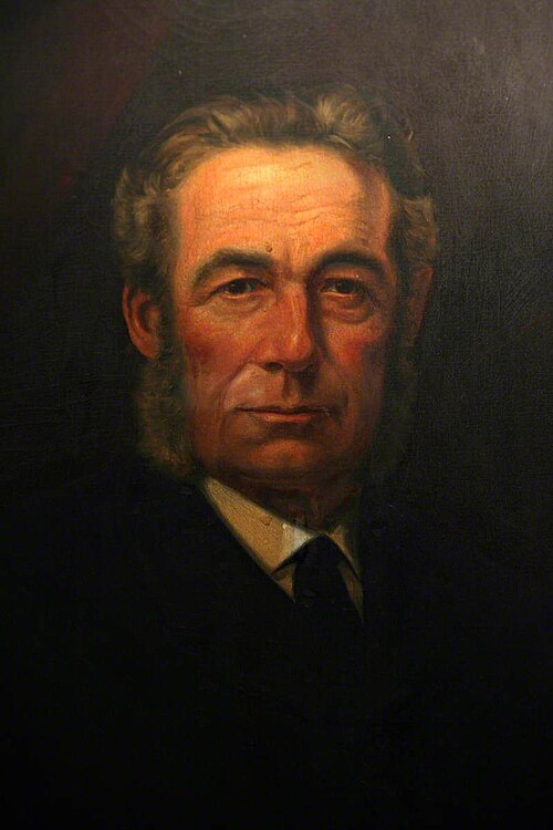 Lewis Llewelyn Dillwyn, JP, MP, Mayor of Swansea (1847), , Henry Alfred Chapman