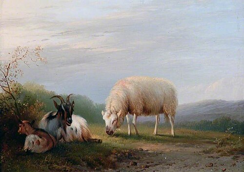 Sheep and Goats, , Laurens Plas (II)