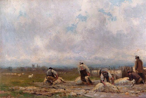 Sheep Shearing, Lower Heath, , Robert Finlay McIntyre