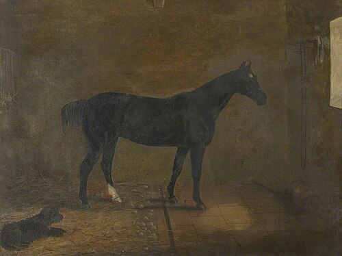 Horse, 1844, Robert Harrington