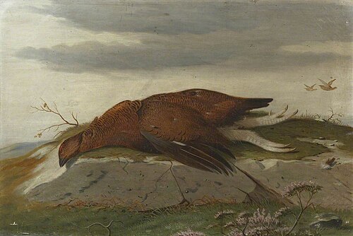 Game Study; Red Grouse in a Landscape, 1868, Robert Harrington