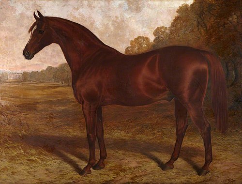 Hermit, a Racehorse in a Landscape, 1877, Robert Nightingale
