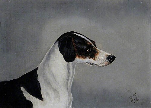 A Dog, 1888, Herbert Thellusson