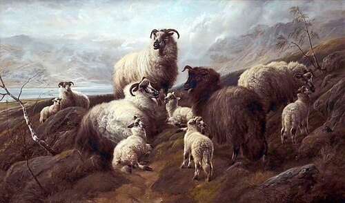 Sheep and Lambs, 1894, Robert Watson