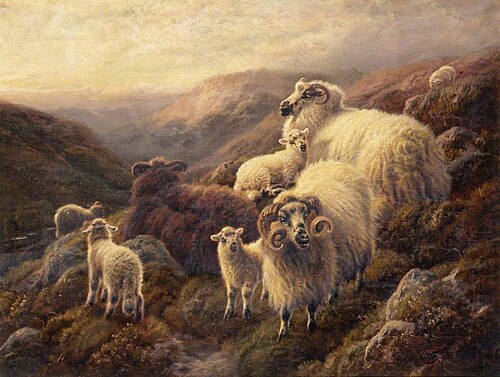 Highland Sheep, 1903, Robert Watson