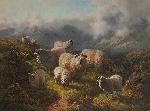 Highland Sheep, 1909, Robert Watson