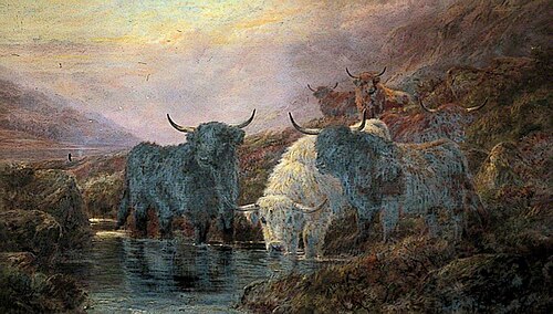Highland Cattle, , Robert Watson