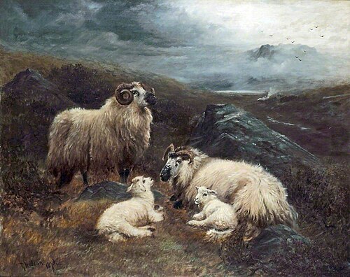 Four Sheep in a Landscape, , Robert Watson