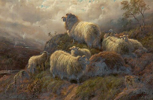 In the Trossachs, Stirling, , Robert Watson
