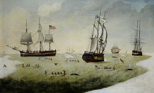 'Munificence' and Other Whalers in the Arctic, , Robert Willoughby
