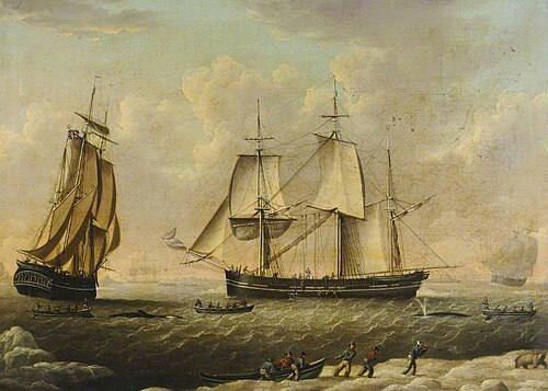 Hull Whaler 'Elizabeth', , Robert Willoughby