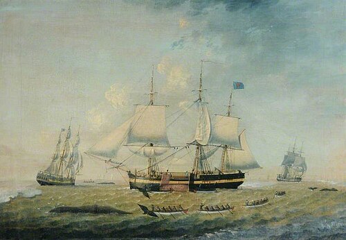 'Aurora', , Robert Willoughby