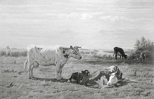 Koeien in een landschap, 1870, Dirk Peter van Lokhorst