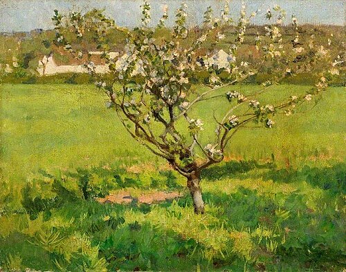 Apple Blossom, , Domenico D. J. Barnett